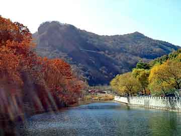 新澳天天开奖资料大全旅游团，照明器材项目合作